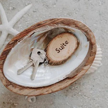 Zen Bed and Breakfast