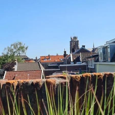 Zen Dordrecht